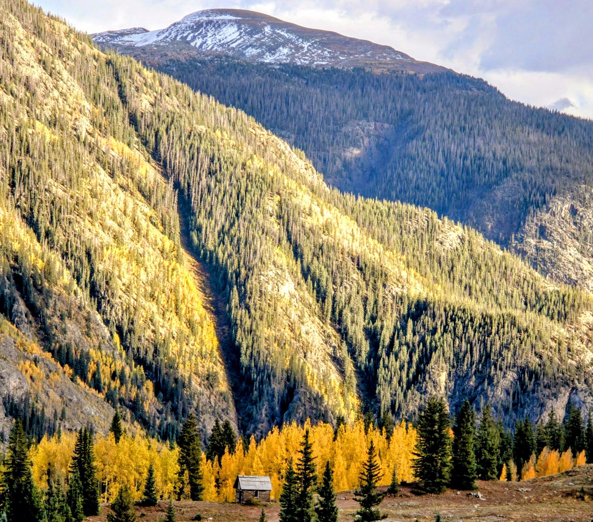 Lonley cabin in the foothills of the mountains near Silverton Colorado with autumn foliage